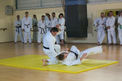 2017_dojo-vaires-sur-marne-nagewaza