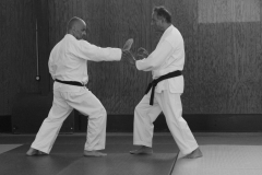 Eli Cohen - Gilles Brunot (2)
