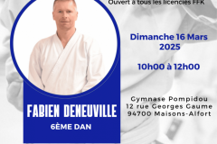 CDK94-Fabien-160325-shotokan_ohshima