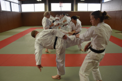 Stage Torite - Nagewaza à Chennevières - combat départ longue distance