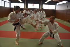 Stage Torite - Nagewaza à Chennevières - combat départ longue distance