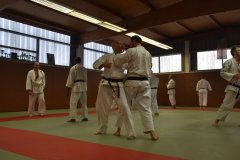 Stage Torite - Nagewaza à Chennevières