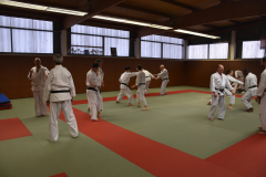 Stage Torite - Nagewaza à Chennevières