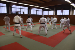 Stage Torite - Nagewaza à Chennevières