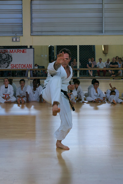 Encadrement karaté adultes et enfants 2017 dojo vaires sur marne richard empi